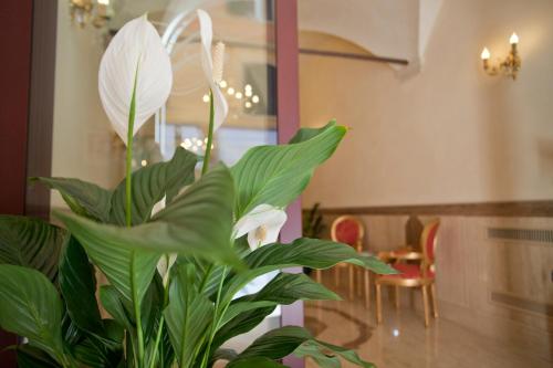 Hotel Cavour - image 6