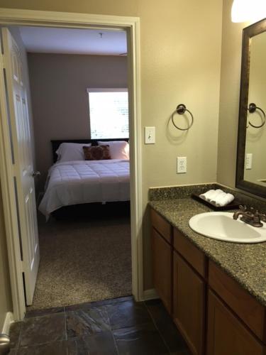 Resort Style Apt/Home in Houston Medical Centre