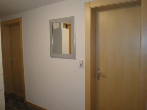 Steinbock - main image
