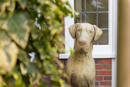 The Crown Manor House Hotel - image 2