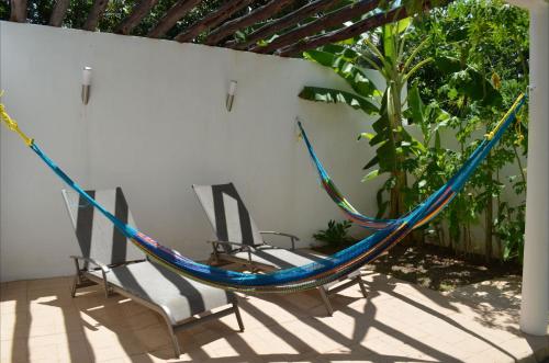 Casa Mango, Valladolid (foto 5)