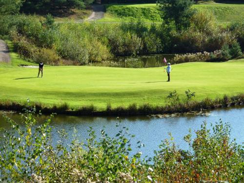 Golf-Resort Brunssummerheide - image 5