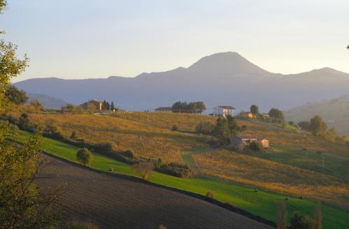 La Girandola - image 5