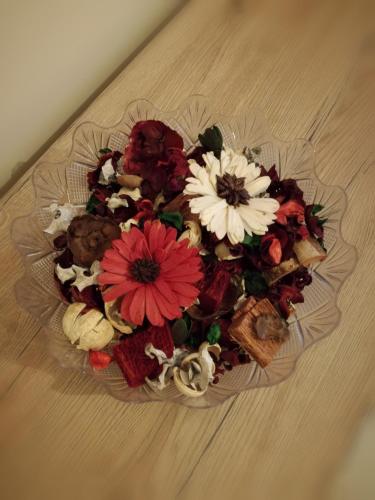 Alba Chiara - image 5