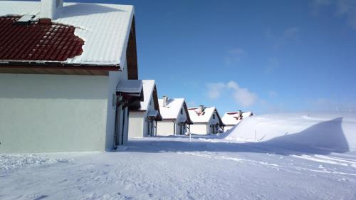 Standard Bungalow