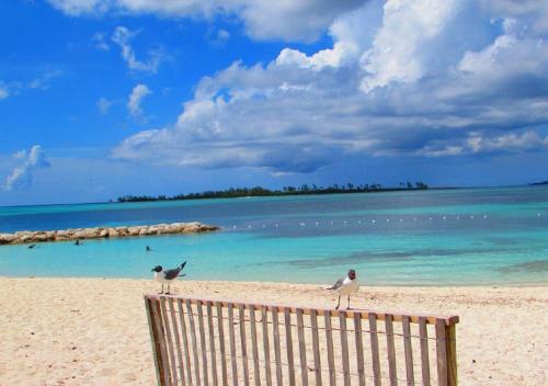 Beach, The Oasis Retreat in Nassau