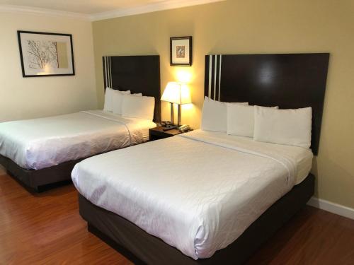 Lombard Plaza Motel - image 12