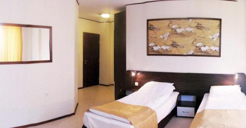 Ambaritsa Hotel - image 3