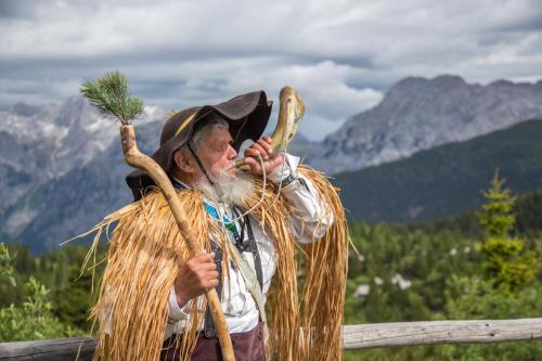 Koca Bistra - Velika planina