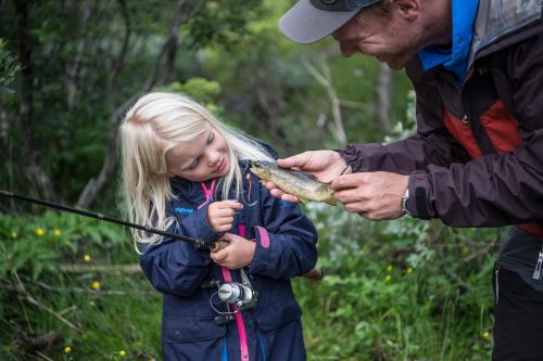 Gomobu Fjellstue - image 3