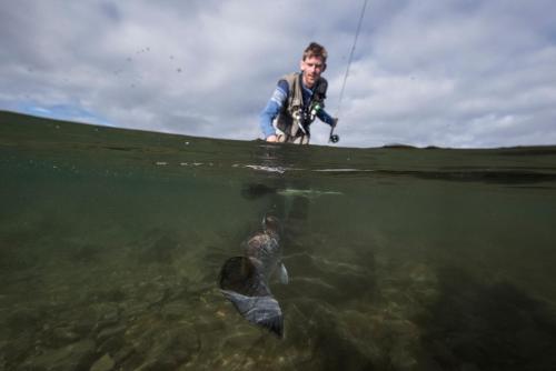 Gomobu Fjellstue - image 10