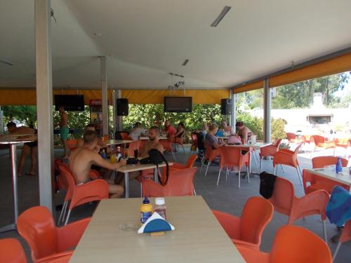 Anthonys Complex - image 6