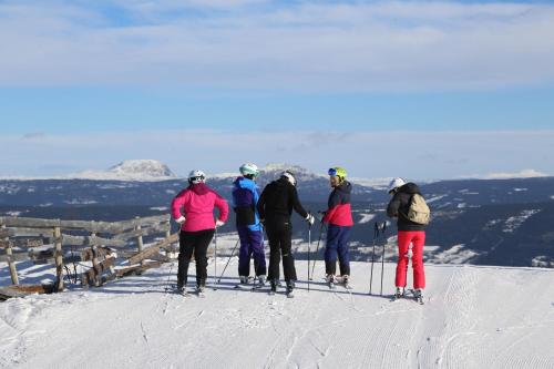 Gomobu Fjellstue - image 4