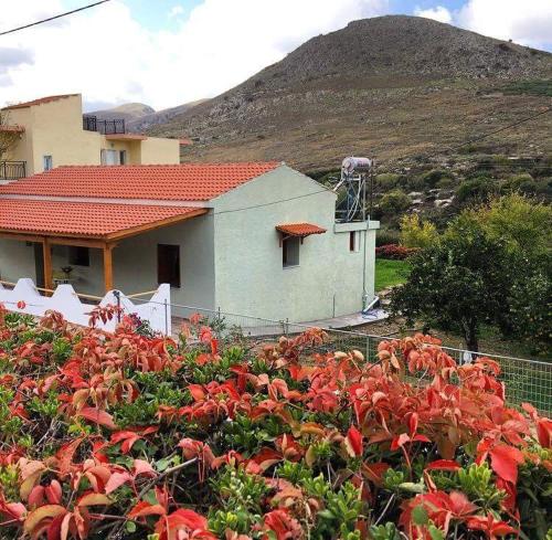  Τhalia's Le Petit House in Ástrikas