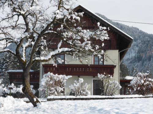 Ferienwohnungen Kolbitsch - Apartment - Greifenburg