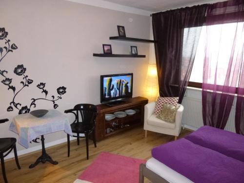 Blick über Karlsruhe - Ferienwohnung Panorama