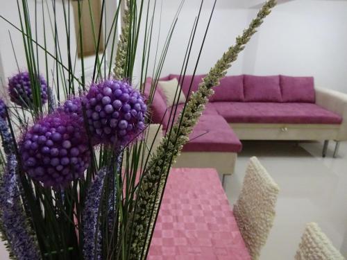 Jasmin White Apartment, Skopje