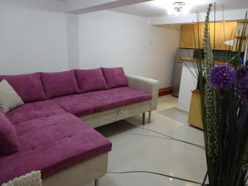Jasmin White Apartment, Skopje (photo 4)