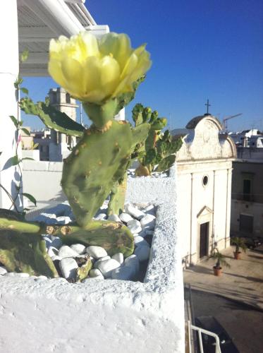 B&B Donnapasqua – Polignano a Mare, LA