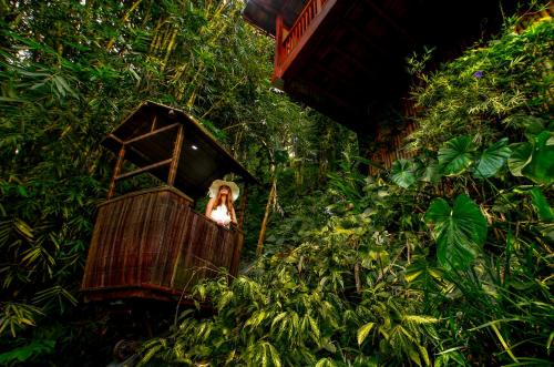 Nandini Jungle by Hanging Gardens