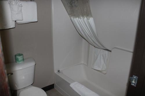 Asteria Inn and Suites Maple Grove - image 5