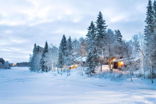 Hotel Vartiosaari The Aurora Island Rovaniemi