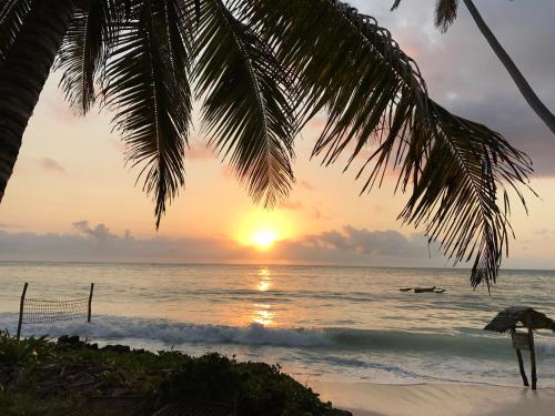 Paradise Beach Bungalows – Paje