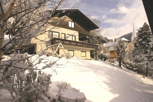  Apartment St. Peter in Radenthein