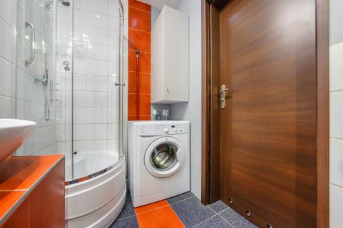 One-Bedroom Apartment image 4