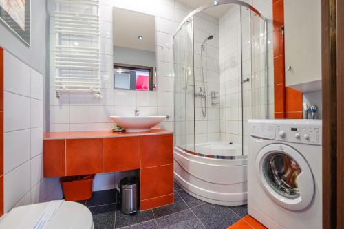 One-Bedroom Apartment image 5