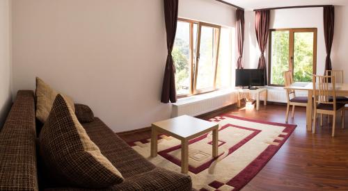 Vila Alma Azuga - image 6