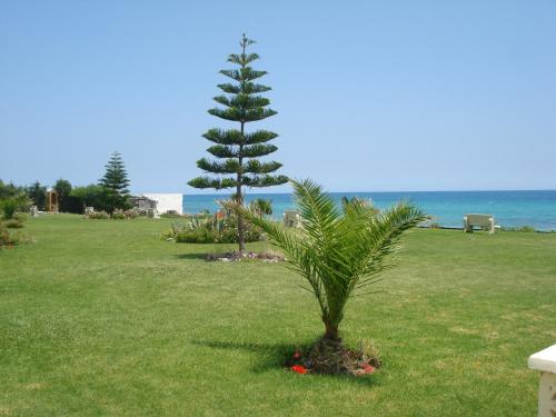 B&B Cote D'azur