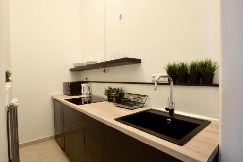 Standard Apartment by Hi5 - Dessewffy 39, Budapešť (fotografie 5)