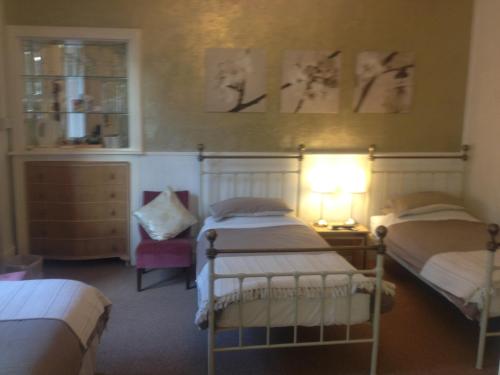 Cameron Guest House - image 6