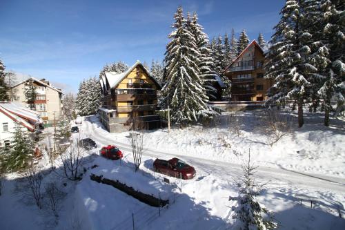 Sunny Apartment in Predeal