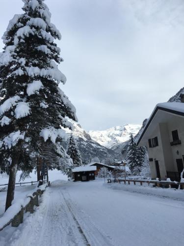 Hotel Gran Baita - image 7