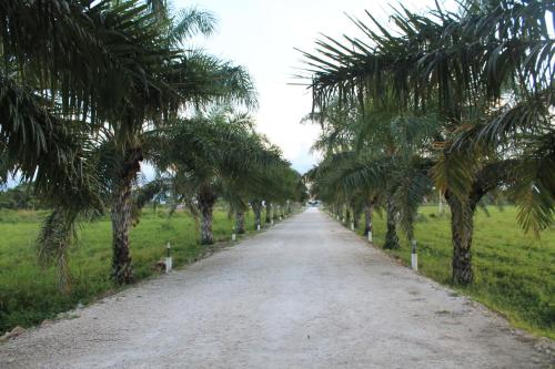 Hotel Real Primaveras Campestre