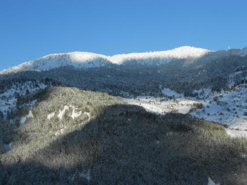Hotel Olympic - image 4