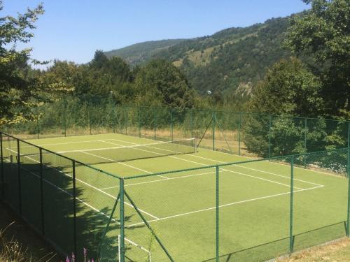 Park Hotel Ribarica - image 6