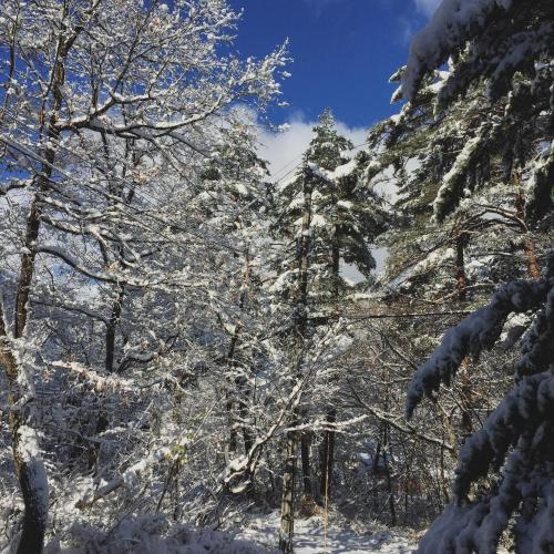 シャトー ローザンヌ