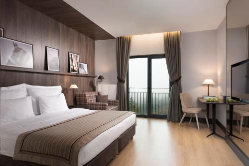 Ilgaz Mountain Resort Hotel in Kastamonu