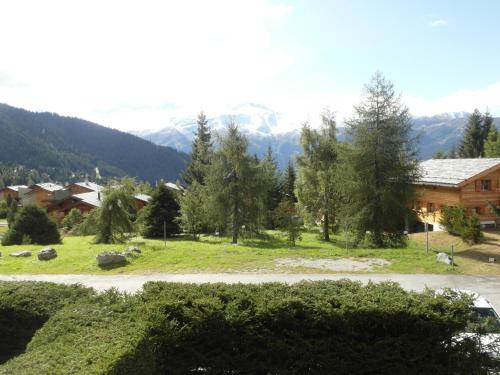 Apartment Mandarin 118Bis - image 4