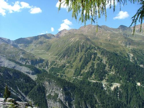 Hotel Madatsch - image 5