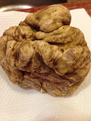 HOTEL L' ANFORA - image 2