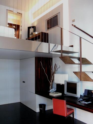 Sina The Gray - image 7