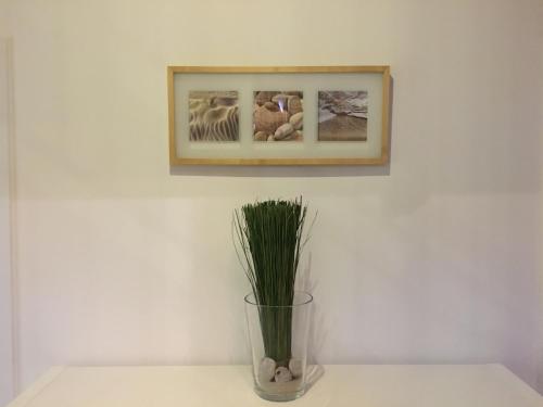 My Brand Boardinghouse - image 7
