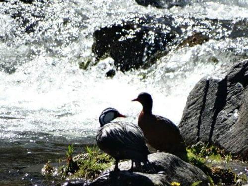 Refugio Las Raices