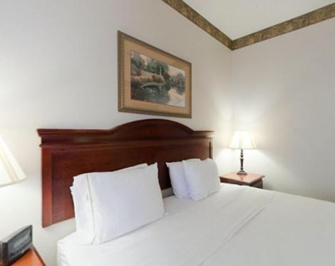 Holiday Inn Express Hotel & Suites Laurinburg an IHG Hotel - image 8