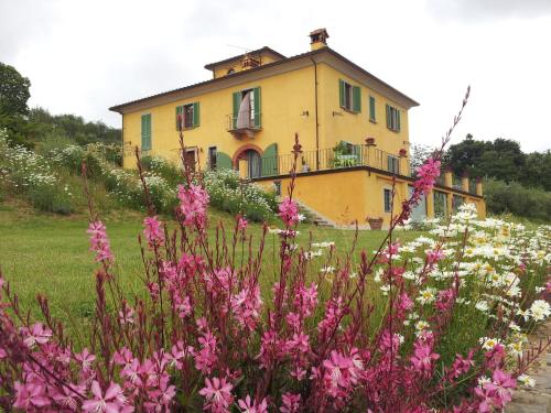  Il Campano in Collodi
