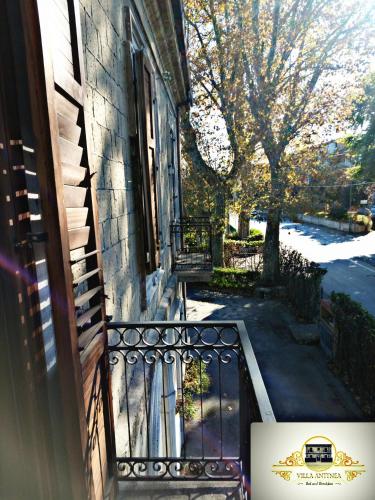 Villa Antinea in 阿韋利諾